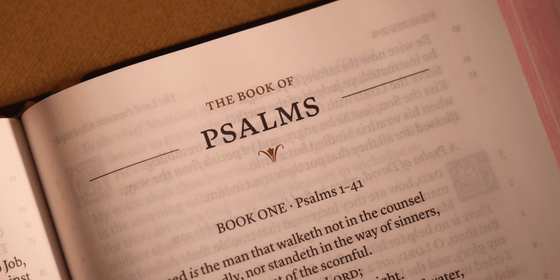 How To Understand The Book Of Psalms | The Catholic Talk Show